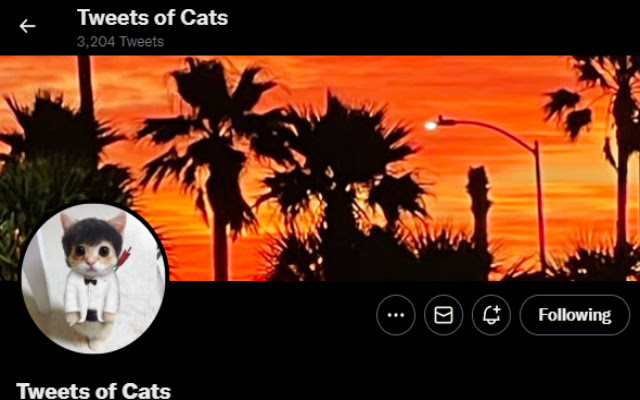 Tweet Verification Radar from Chrome web store to be run with OffiDocs Chromium online Tweet Verification Radar from Chrome web store to be run with OffiDocs Chromium online