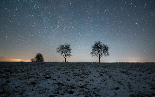 Two trees under the stars from Chrome web store to be run with OffiDocs Chromium online Two trees under the stars from Chrome web store to be run with OffiDocs Chromium online
