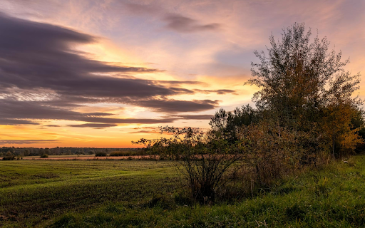 Vast Field from Chrome web store to be run with OffiDocs Chromium online Vast Field from Chrome web store to be run with OffiDocs Chromium online