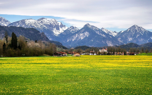Vast Grass Field from Chrome web store to be run with OffiDocs Chromium online Vast Grass Field from Chrome web store to be run with OffiDocs Chromium online