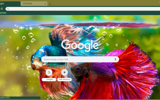 Vibrant Tropical Fish from Chrome web store to be run with OffiDocs Chromium online Vibrant Tropical Fish from Chrome web store to be run with OffiDocs Chromium online