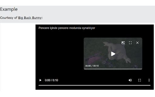 Video PiP Shortcut from Chrome web store to be run with OffiDocs Chromium online Video PiP Shortcut from Chrome web store to be run with OffiDocs Chromium online