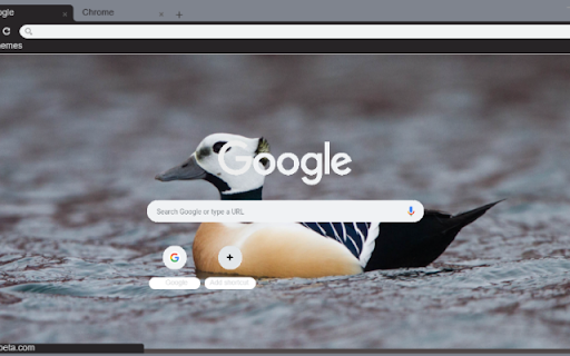 Vit bien from Chrome web store to be run with OffiDocs Chromium online Vit bien from Chrome web store to be run with OffiDocs Chromium online