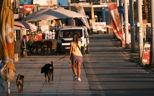 Walking around with your dog from Chrome web store to be run with OffiDocs Chromium online Walking around with your dog from Chrome web store to be run with OffiDocs Chromium online
