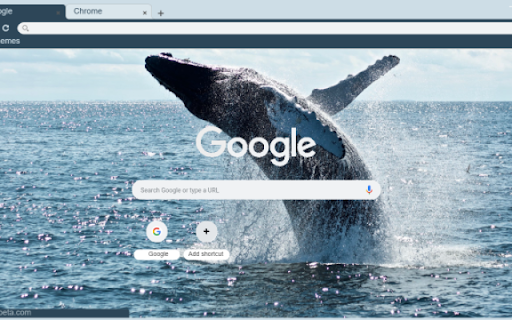 Whale from Chrome web store to be run with OffiDocs Chromium online Whale from Chrome web store to be run with OffiDocs Chromium online