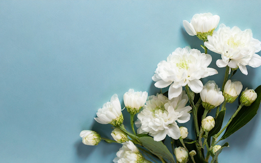 White Flower Branch from Chrome web store to be run with OffiDocs Chromium online White Flower Branch from Chrome web store to be run with OffiDocs Chromium online