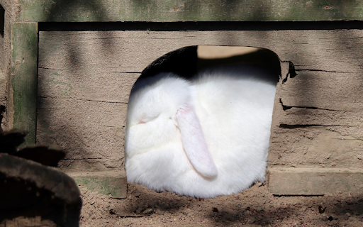 White Rabbit from Chrome web store to be run with OffiDocs Chromium online White Rabbit from Chrome web store to be run with OffiDocs Chromium online