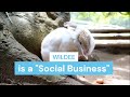 Wildee search rescue for animal lovers from Chrome web store to be run with OffiDocs Chromium online Wildee search rescue for animal lovers from Chrome web store to be run with OffiDocs Chromium online