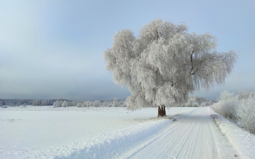 Winter and White Snow from Chrome web store to be run with OffiDocs Chromium online Winter and White Snow from Chrome web store to be run with OffiDocs Chromium online