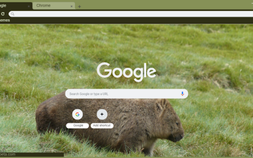 Wombat from Chrome web store to be run with OffiDocs Chromium online Wombat from Chrome web store to be run with OffiDocs Chromium online