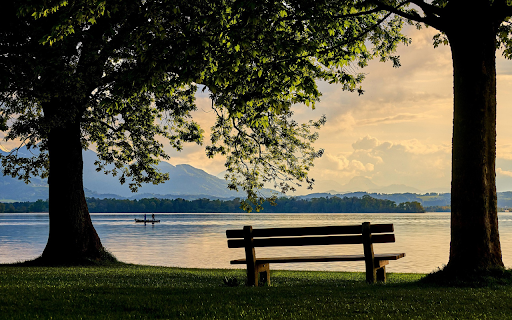 Wooden chair under the tree from Chrome web store to be run with OffiDocs Chromium online Wooden chair under the tree from Chrome web store to be run with OffiDocs Chromium online