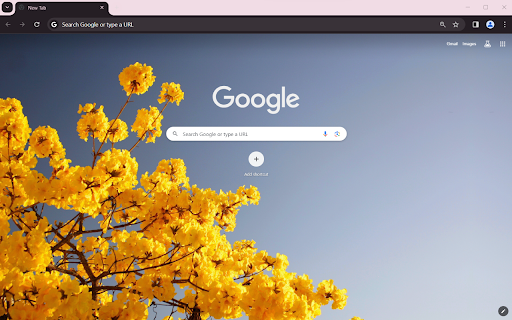 Yellow apricot flower Browser Theme from Chrome web store to be run with OffiDocs Chromium online Yellow apricot flower Browser Theme from Chrome web store to be run with OffiDocs Chromium online