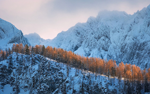 Yellow leaf forest from Chrome web store to be run with OffiDocs Chromium online Yellow leaf forest from Chrome web store to be run with OffiDocs Chromium online