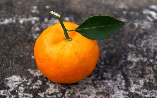 Yellow orange fruit from Chrome web store to be run with OffiDocs Chromium online Yellow orange fruit from Chrome web store to be run with OffiDocs Chromium online
