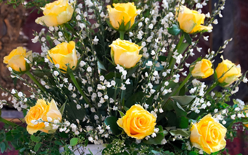 Yellow rose with white flowers from Chrome web store to be run with OffiDocs Chromium online Yellow rose with white flowers from Chrome web store to be run with OffiDocs Chromium online