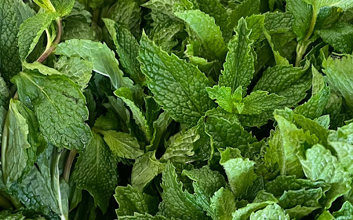 Young green herbs from Chrome web store to be run with OffiDocs Chromium online Young green herbs from Chrome web store to be run with OffiDocs Chromium online