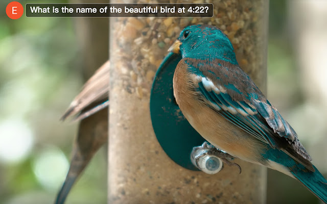 Youtube Plus from Chrome web store to be run with OffiDocs Chromium online Youtube Plus from Chrome web store to be run with OffiDocs Chromium online