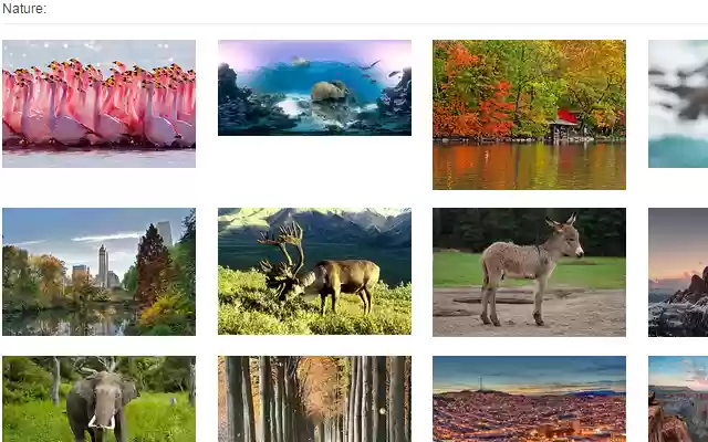 99puzzles.com NATURE from Chrome web store to be run with OffiDocs Chromium online 99puzzles.com NATURE from Chrome web store to be run with OffiDocs Chromium online