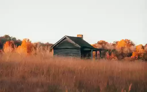 A Cabin in the Middle of a Field from Chrome web store to be run with OffiDocs Chromium online A Cabin in the Middle of a Field from Chrome web store to be run with OffiDocs Chromium online