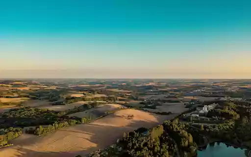 Aerial View of Trees in Field from Chrome web store to be run with OffiDocs Chromium online Aerial View of Trees in Field from Chrome web store to be run with OffiDocs Chromium online