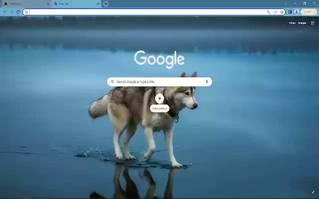 Alaskan malamute from Chrome web store to be run with OffiDocs Chromium online Alaskan malamute from Chrome web store to be run with OffiDocs Chromium online
