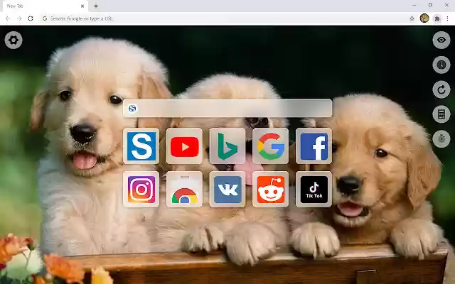 Animal Kingdom HD Wallpaper New Tab from Chrome web store to be run with OffiDocs Chromium online Animal Kingdom HD Wallpaper New Tab from Chrome web store to be run with OffiDocs Chromium online