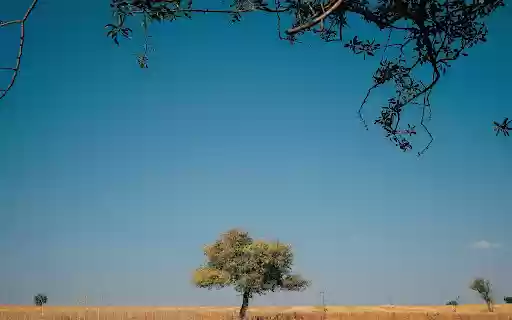 A Tree in a Serene Landscape from Chrome web store to be run with OffiDocs Chromium online A Tree in a Serene Landscape from Chrome web store to be run with OffiDocs Chromium online