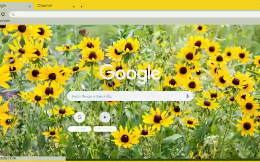 Black eyed Susan from Chrome web store to be run with OffiDocs Chromium online Black eyed Susan from Chrome web store to be run with OffiDocs Chromium online