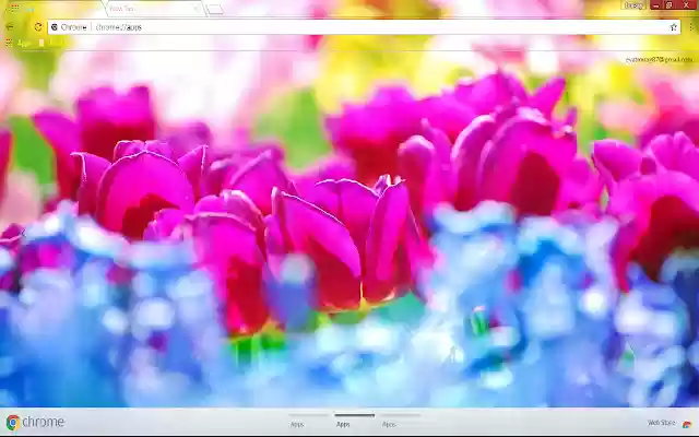 Blue Flower Bokeh Colorful Flower from Chrome web store to be run with OffiDocs Chromium online Blue Flower Bokeh Colorful Flower from Chrome web store to be run with OffiDocs Chromium online