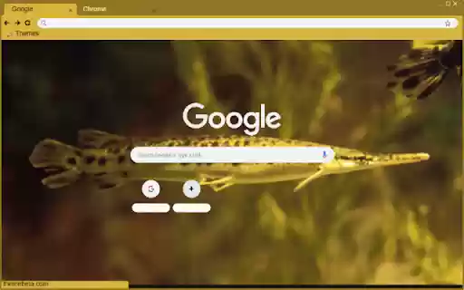 Ca lang from Chrome web store to be run with OffiDocs Chromium online Ca lang from Chrome web store to be run with OffiDocs Chromium online