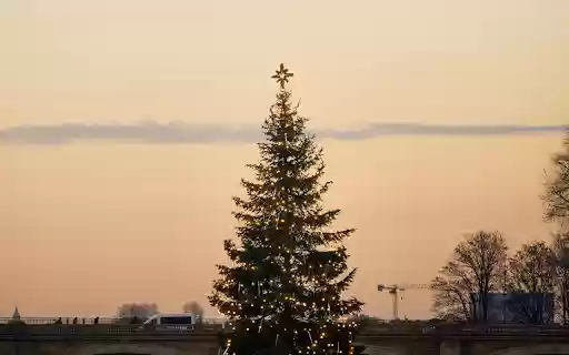 Christmas tree on the river in front of a bridge from Chrome web store to be run with OffiDocs Chromium online Christmas tree on the river in front of a bridge from Chrome web store to be run with OffiDocs Chromium online