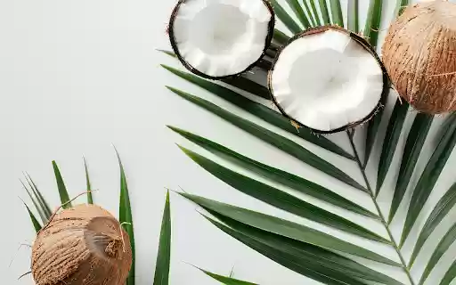coconut skull and coconut leaves from Chrome web store to be run with OffiDocs Chromium online coconut skull and coconut leaves from Chrome web store to be run with OffiDocs Chromium online