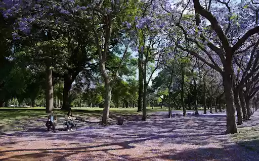 Falling purple flower park from Chrome web store to be run with OffiDocs Chromium online Falling purple flower park from Chrome web store to be run with OffiDocs Chromium online