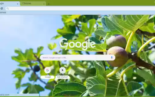 Fig Tree from Chrome web store to be run with OffiDocs Chromium online Fig Tree from Chrome web store to be run with OffiDocs Chromium online