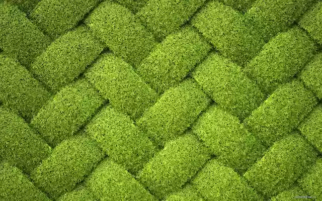 Grass Weaving from Chrome web store to be run with OffiDocs Chromium online Grass Weaving from Chrome web store to be run with OffiDocs Chromium online