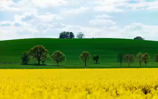 green and yellow from Chrome web store to be run with OffiDocs Chromium online green and yellow from Chrome web store to be run with OffiDocs Chromium online