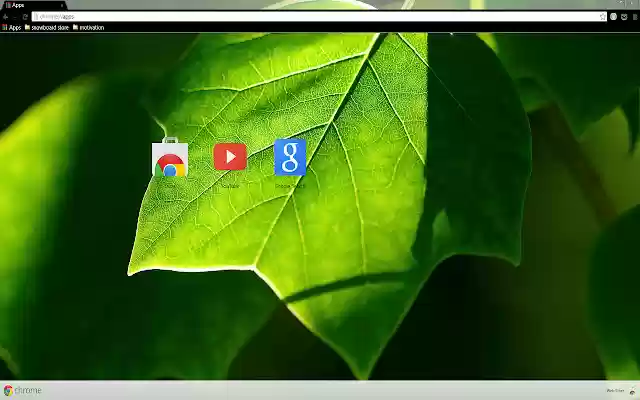 Green Leaves from Chrome web store to be run with OffiDocs Chromium online Green Leaves from Chrome web store to be run with OffiDocs Chromium online