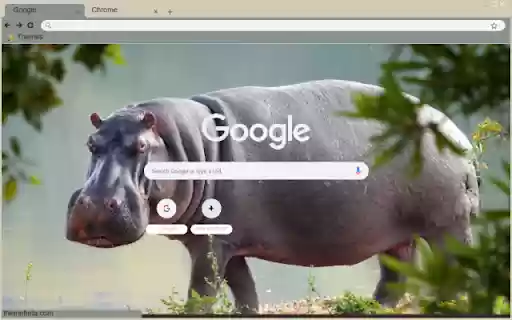 Ha Ma from Chrome web store to be run with OffiDocs Chromium online Ha Ma from Chrome web store to be run with OffiDocs Chromium online