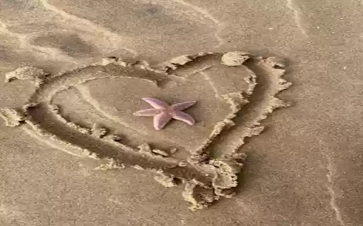 Heart wallpaper drawn in sand from Chrome web store to be run with OffiDocs Chromium online Heart wallpaper drawn in sand from Chrome web store to be run with OffiDocs Chromium online
