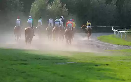 Horse racing competition from Chrome web store to be run with OffiDocs Chromium online Horse racing competition from Chrome web store to be run with OffiDocs Chromium online
