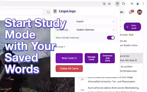 LingoLingo AI Language Learning from Chrome web store to be run with OffiDocs Chromium online LingoLingo AI Language Learning from Chrome web store to be run with OffiDocs Chromium online