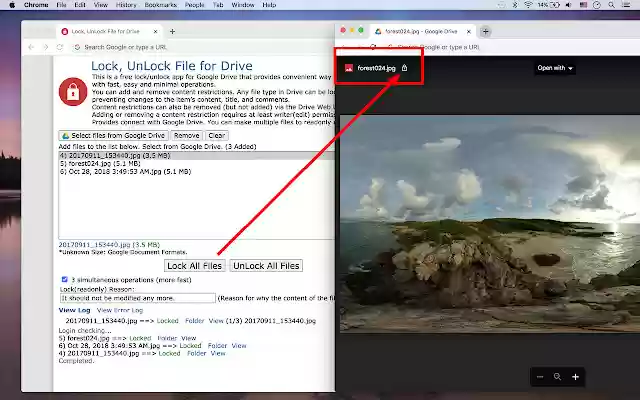 Lock, UnLock File for Drive from Chrome web store to be run with OffiDocs Chromium online Lock, UnLock File for Drive from Chrome web store to be run with OffiDocs Chromium online
