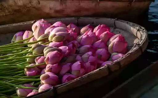 Lotus boat from Chrome web store to be run with OffiDocs Chromium online Lotus boat from Chrome web store to be run with OffiDocs Chromium online