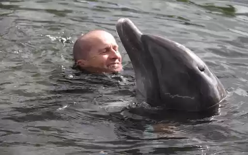 Man and dolphin from Chrome web store to be run with OffiDocs Chromium online Man and dolphin from Chrome web store to be run with OffiDocs Chromium online