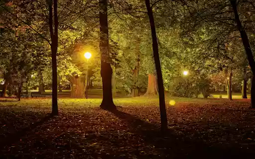 Night park from Chrome web store to be run with OffiDocs Chromium online Night park from Chrome web store to be run with OffiDocs Chromium online