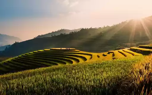 Nine terraced fields from Chrome web store to be run with OffiDocs Chromium online Nine terraced fields from Chrome web store to be run with OffiDocs Chromium online