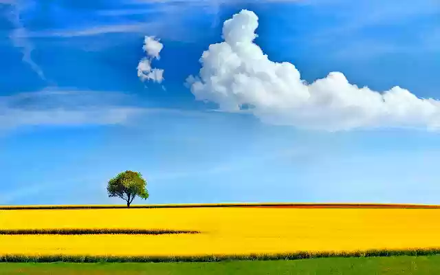 Palm Spring Weather April from Chrome web store to be run with OffiDocs Chromium online Palm Spring Weather April from Chrome web store to be run with OffiDocs Chromium online