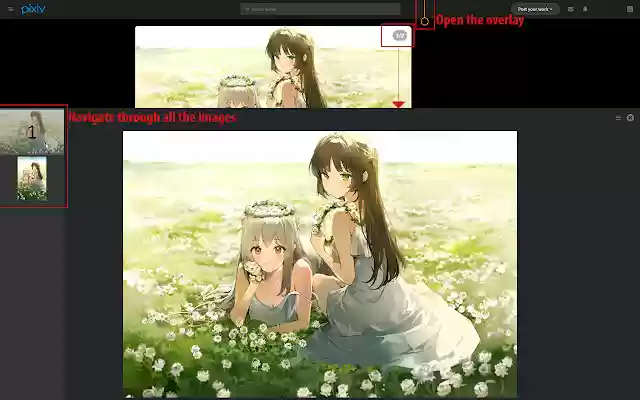 Pixiv Image Overlay from Chrome web store to be run with OffiDocs Chromium online Pixiv Image Overlay from Chrome web store to be run with OffiDocs Chromium online