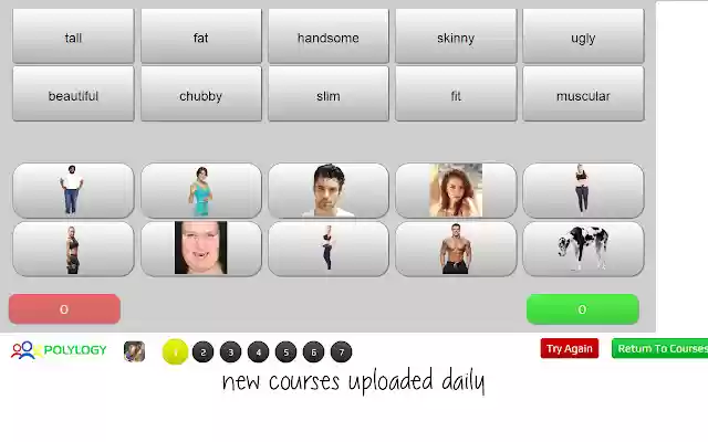 Polylogy English from Chrome web store to be run with OffiDocs Chromium online Polylogy English from Chrome web store to be run with OffiDocs Chromium online