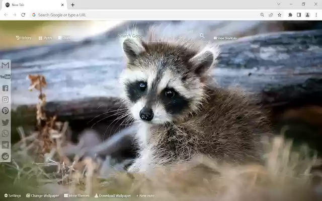 Raccoon Wallpaper New Tab from Chrome web store to be run with OffiDocs Chromium online Raccoon Wallpaper New Tab from Chrome web store to be run with OffiDocs Chromium online
